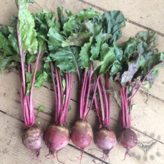 Detroit Beetroot