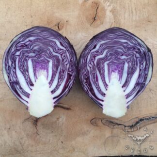 Langedijk Red Cabbage