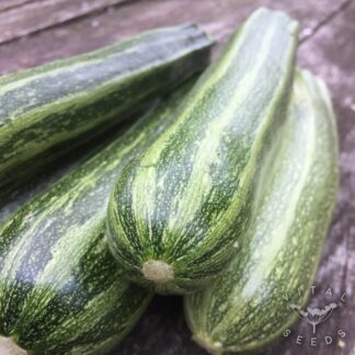 Courgette Seeds