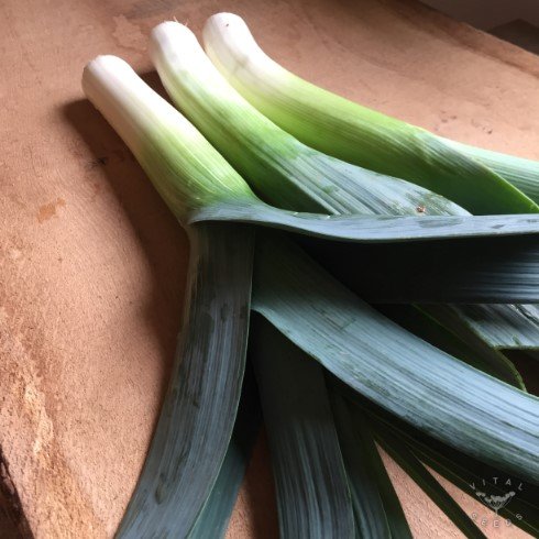Hannibal Leek