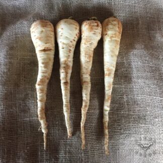 Tender and True Parsnip