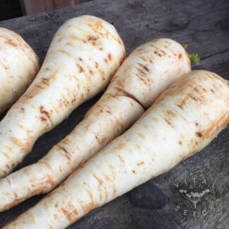 Tender and True Parsnip