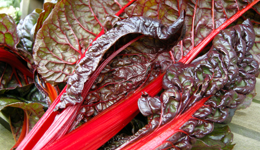 Rhubarb Chard