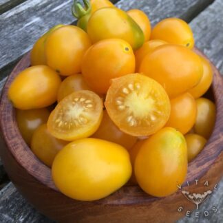 Yellow Submarine Tomato