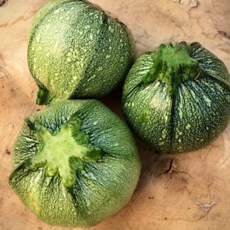 Tondo di Nizza Courgette