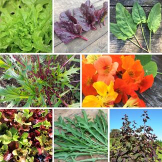 "The Salad Bowl" Seed Collection