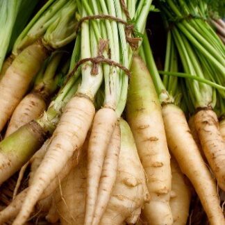 Parsnip Seeds