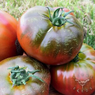 Paul Robeson Tomato