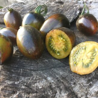 Brad's Atomic Grape Tomato