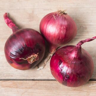 Red Baron Onion