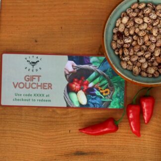 Gift Vouchers