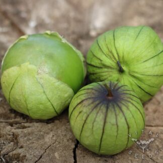 Tomatillo Seeds