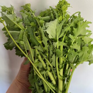 San Marzano Cima di Rapa