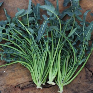 Fiolaro di Creazzo leaf Broccoli