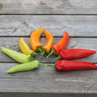 Hungarian Hot Wax Chilli