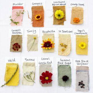 Natural dye kits from PIGMENT