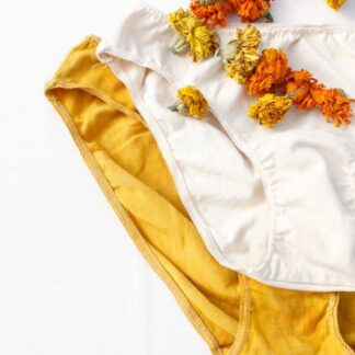 Natural dye kits from PIGMENT