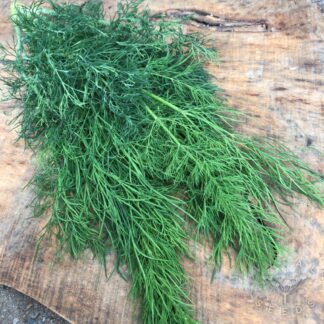 Dill Seeds
