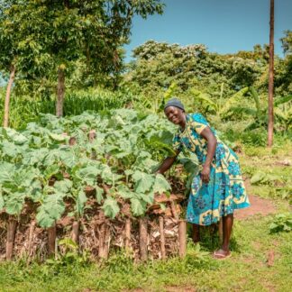 Ripple Effect Garden Twinning