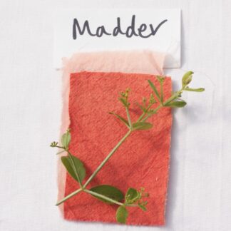 Madder Seeds