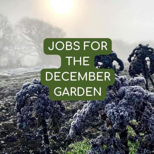 Jobs for Decembe garden