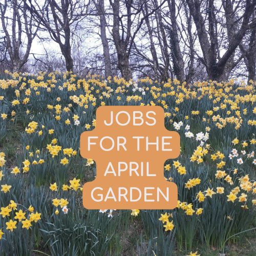 Jobs for April garden