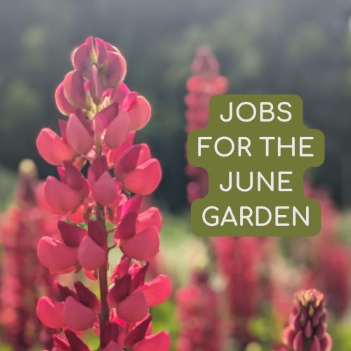 Instagram posts (10)