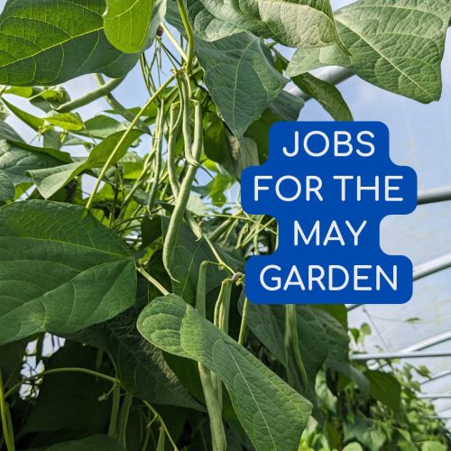 Jobs for May garden
